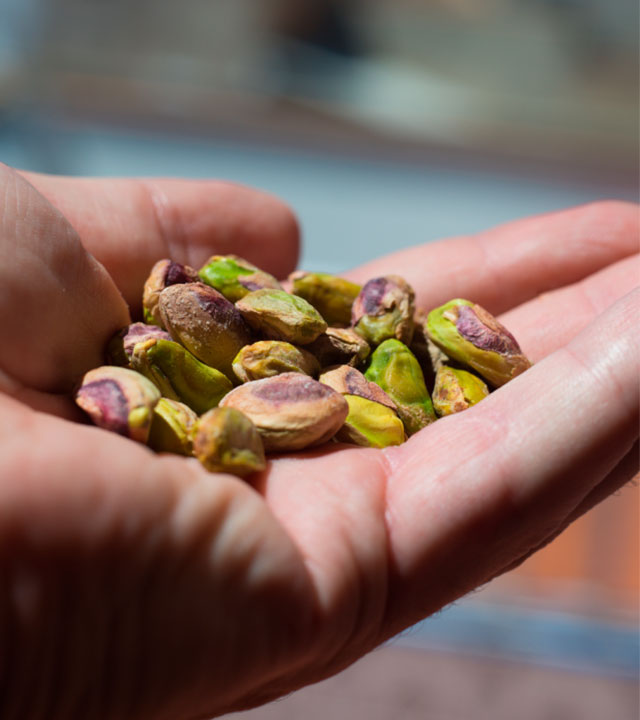 Pistacchio