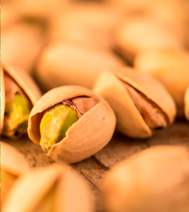 Pistacchio