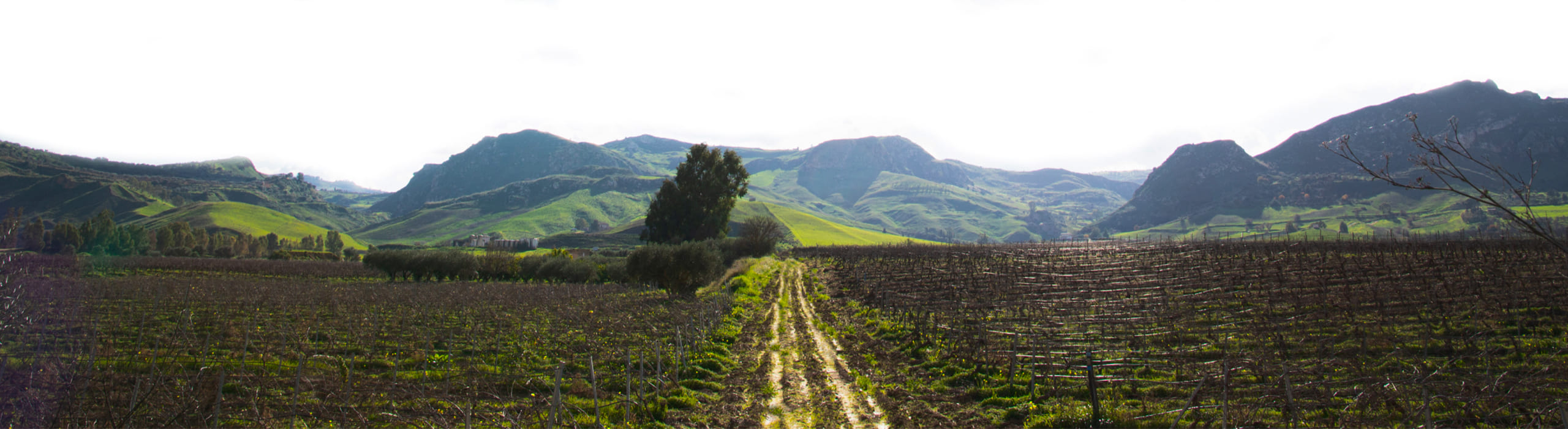 Territorio