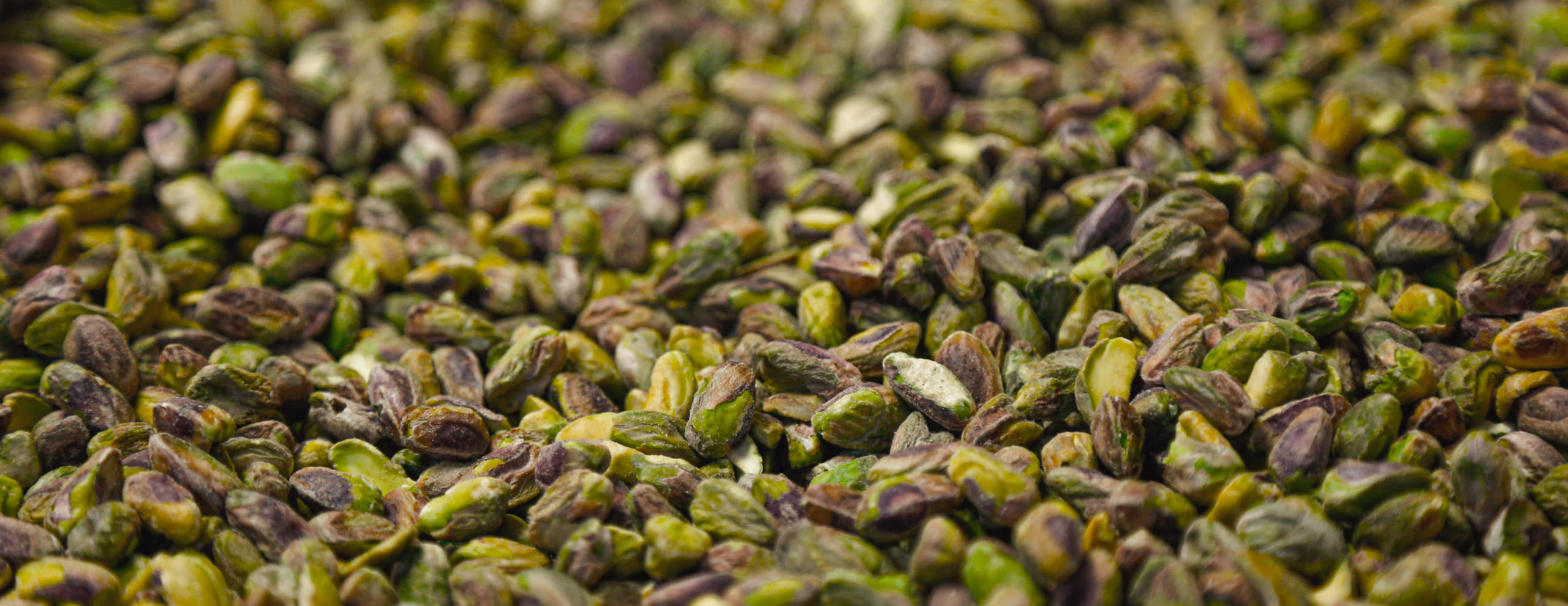 Pistacchio
