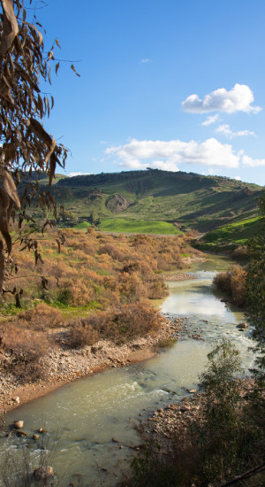 Fiume Platani Azienda Agricola Vella