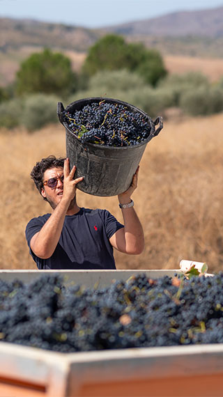 Azienda